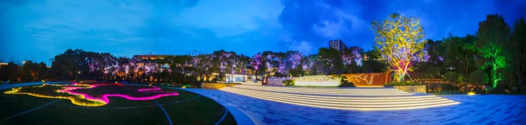 1596612803263443.jpg 02.jpg