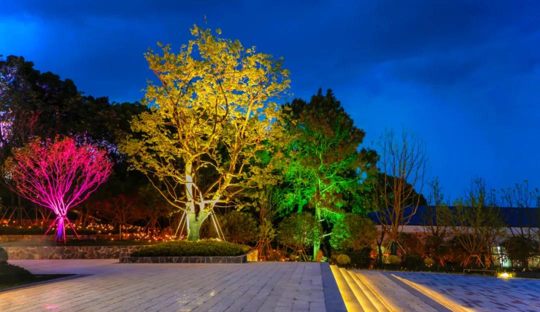 1596612808836312.jpg 03.jpg