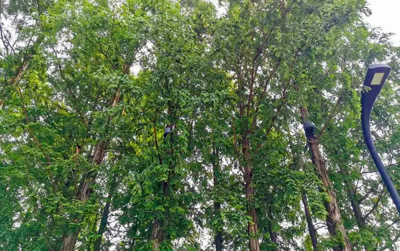 1596612956317860.jpg 1596612956317860.jpg