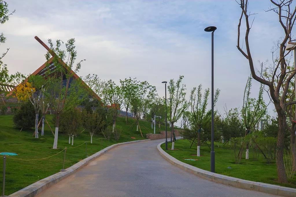 1598333965124772.jpg 1598333965124772.jpg