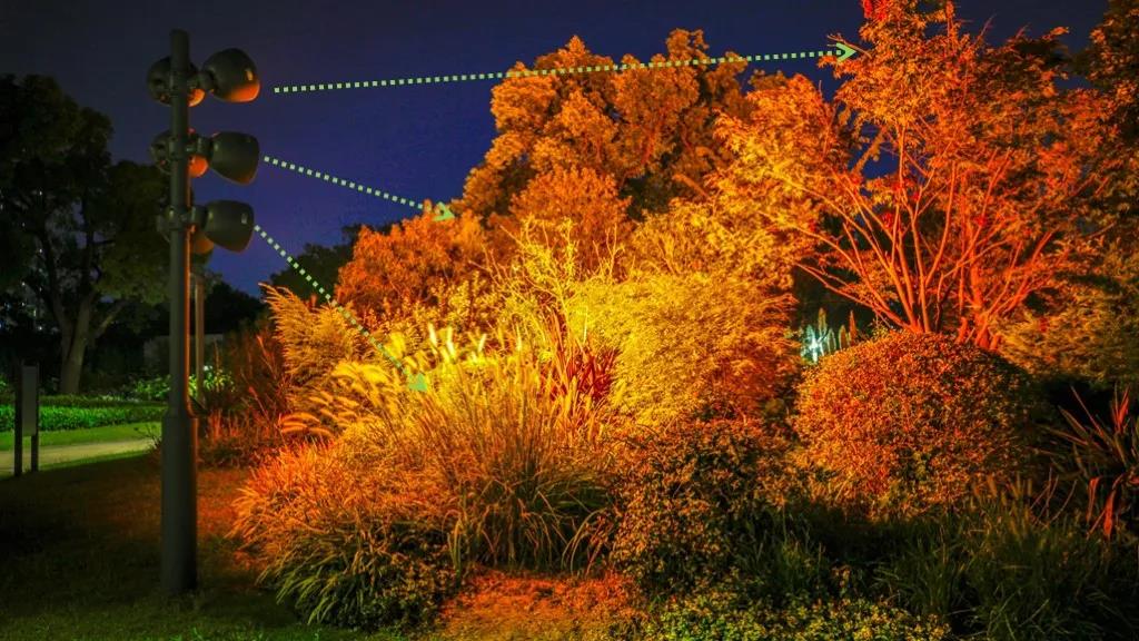 1603695177327188.jpg 1603695177327188.jpg