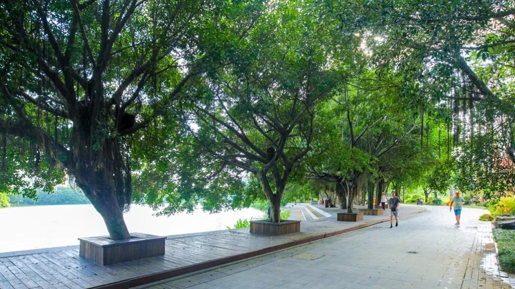 1603695177515499.jpg 1603695177515499.jpg