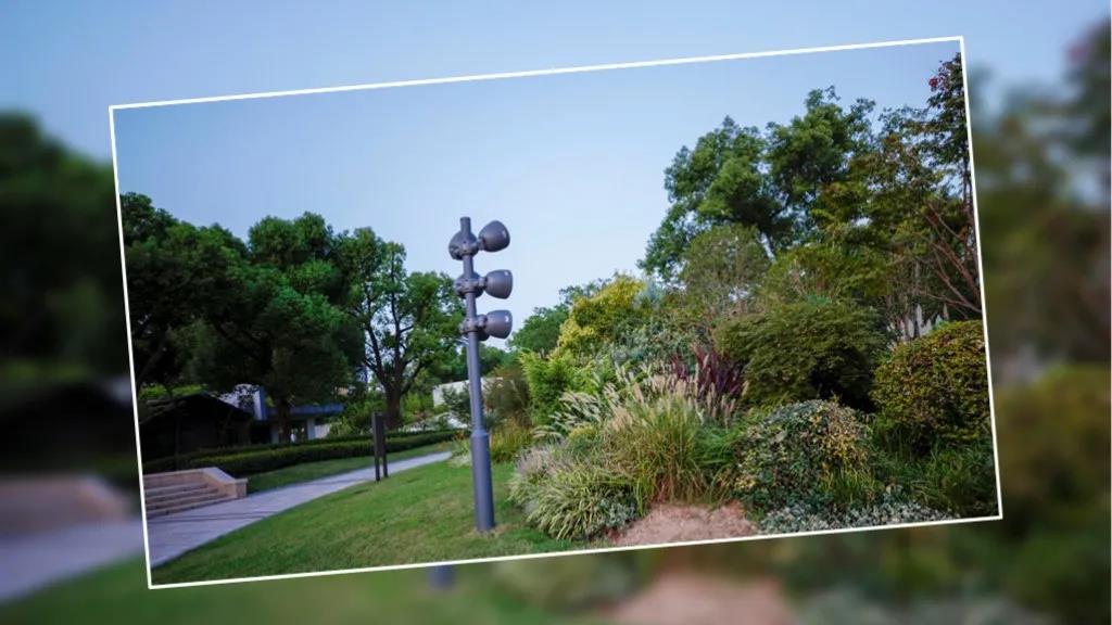 1603695177585532.jpg 1603695177585532.jpg