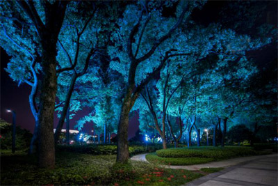 1603764230750885.jpg 1603764230750885.jpg