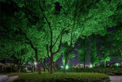 1603764258253713.jpg 1603764258253713.jpg