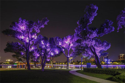 1603764297331852.jpg 1603764297331852.jpg