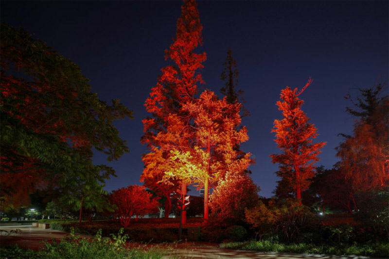 1603764649323126.jpg 10.jpg