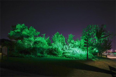 1603764899443716.jpg 12.jpg