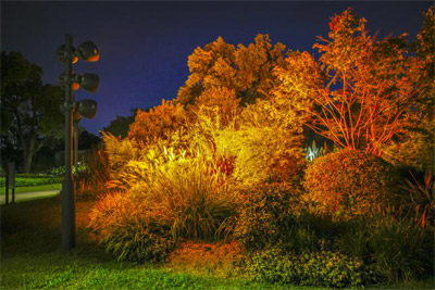 1603764964462669.jpg 11-1.jpg