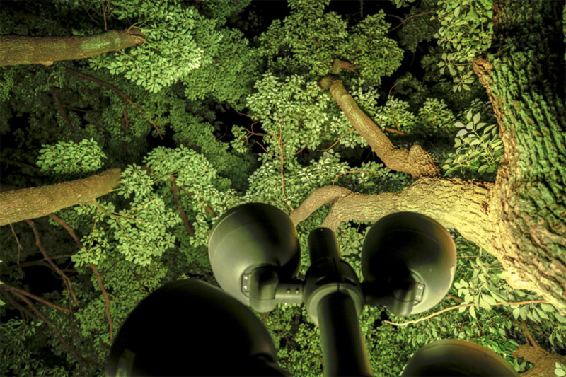 1603765080967028.jpg 13.jpg