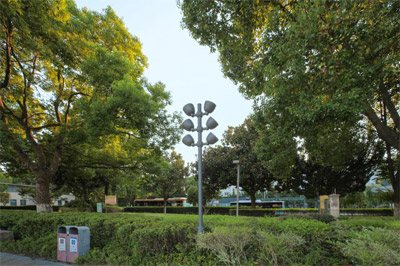 1603765453787027.jpg 19.jpg