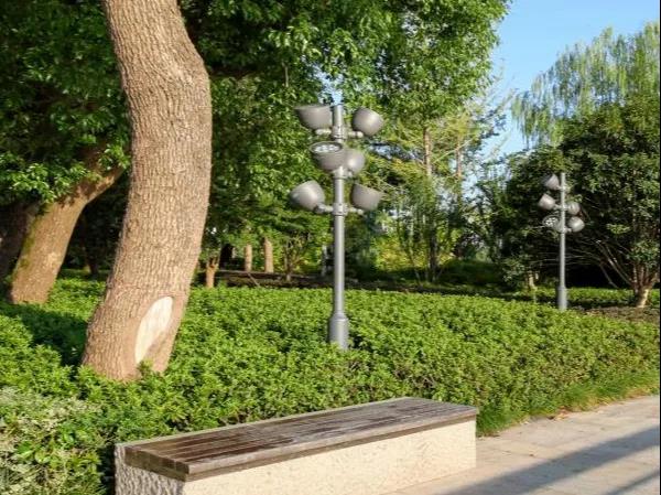 1603766128237780.jpg 1603766128237780.jpg