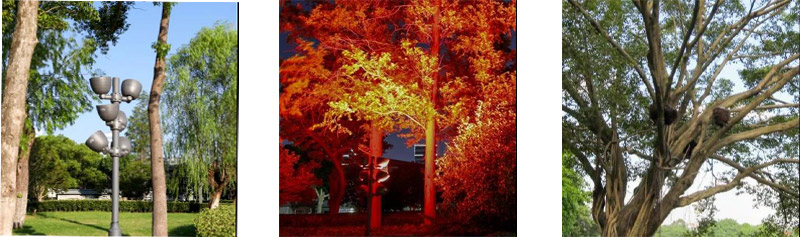 1603766823247741.jpg 26-1.jpg