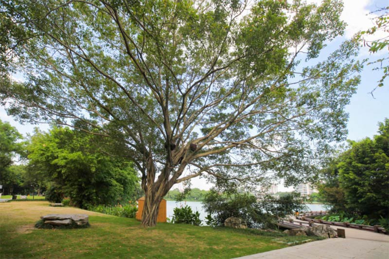 1603767020655739.jpg 27.jpg