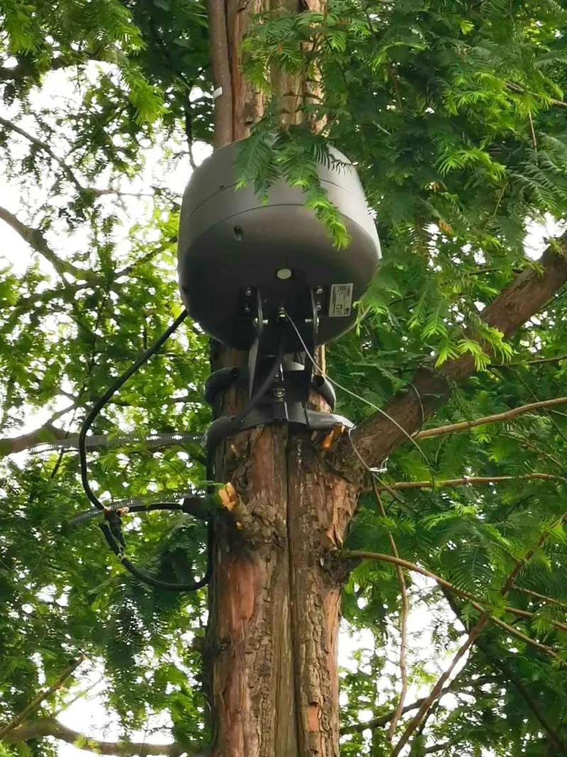 1603767064835662.jpg 28.jpg