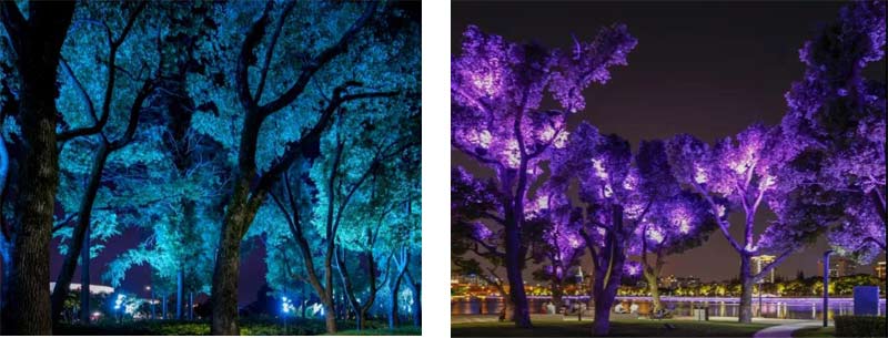 1603767745440533.jpg 27-1.jpg