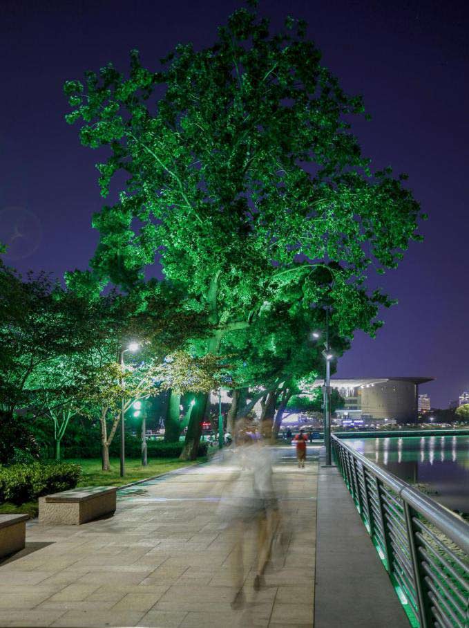 1603767898967235.jpg 1603767898967235.jpg