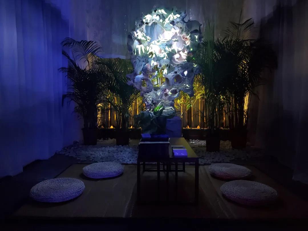 1628147851680496.jpg 1628147851680496.jpg