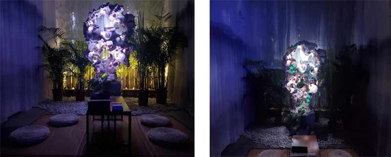 1628148295745840.jpg 01.jpg