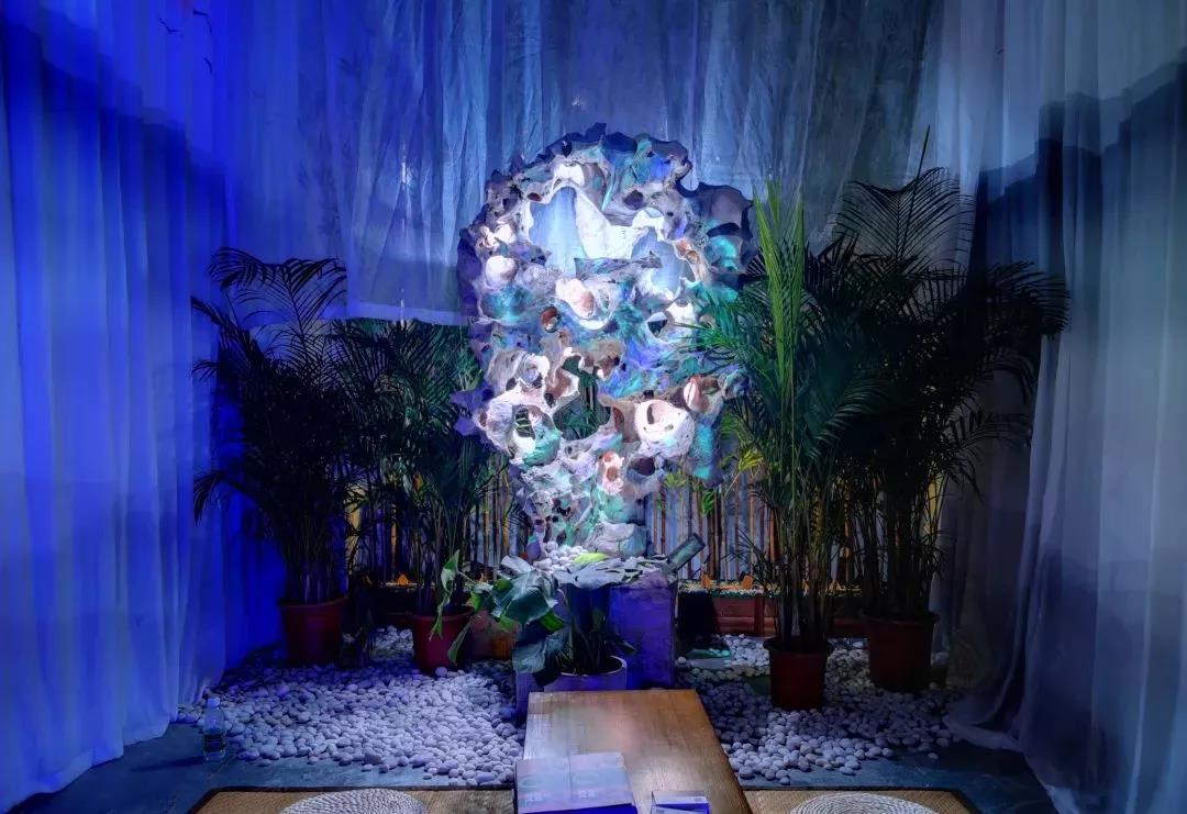 1628148448860083.jpg 1628148448860083.jpg