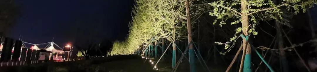 1631754500497189.jpg 1631754500497189.jpg