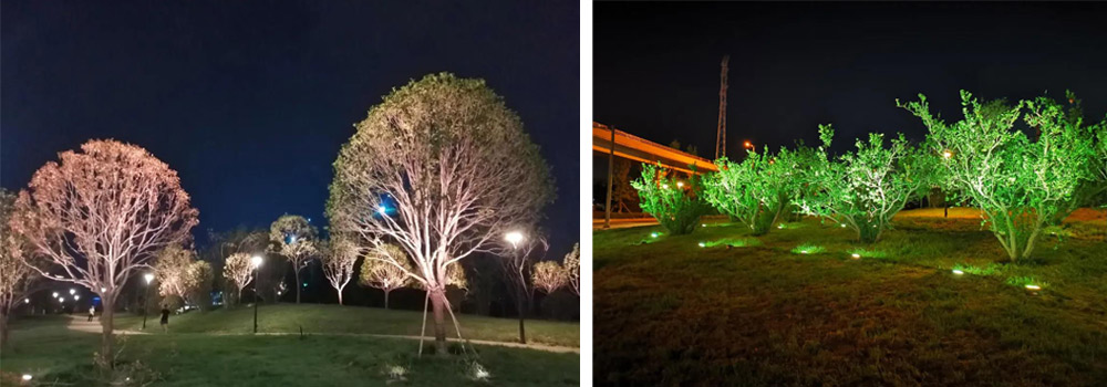 1631754886903387.jpg 1631754886903387.jpg