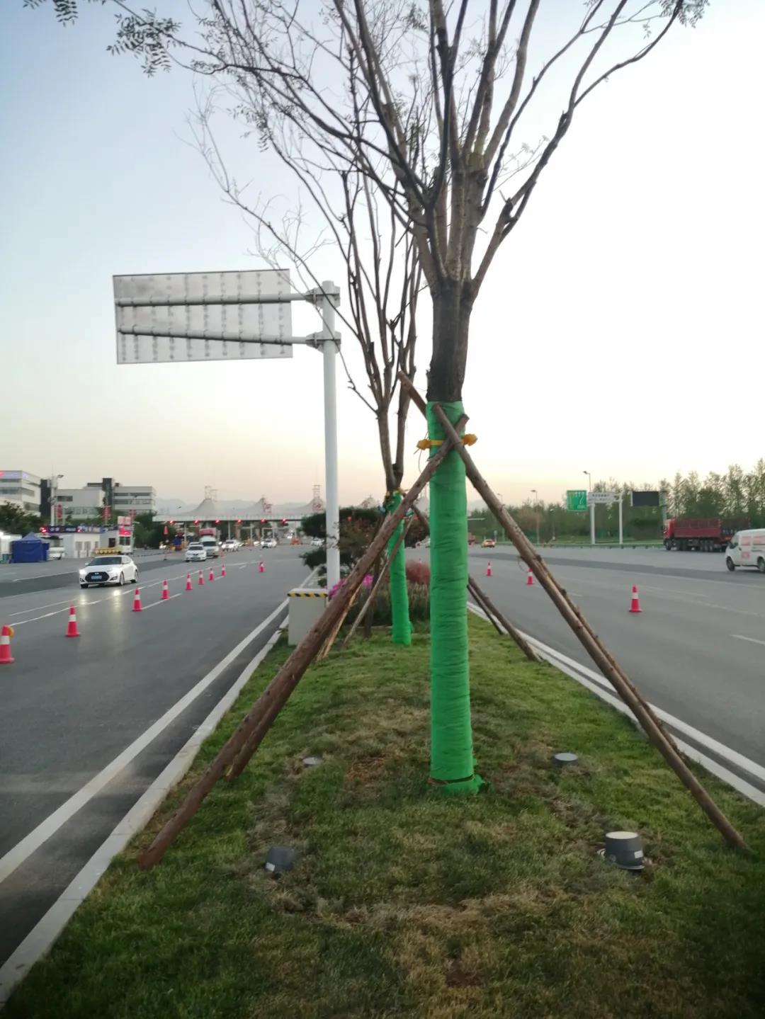 1631754933805480.jpg 1631754933805480.jpg