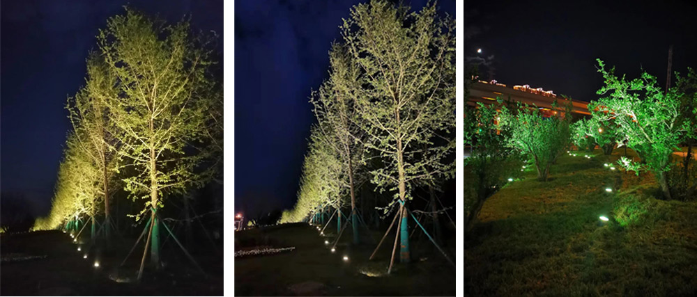 1631755639177721.jpg 1631755639177721.jpg