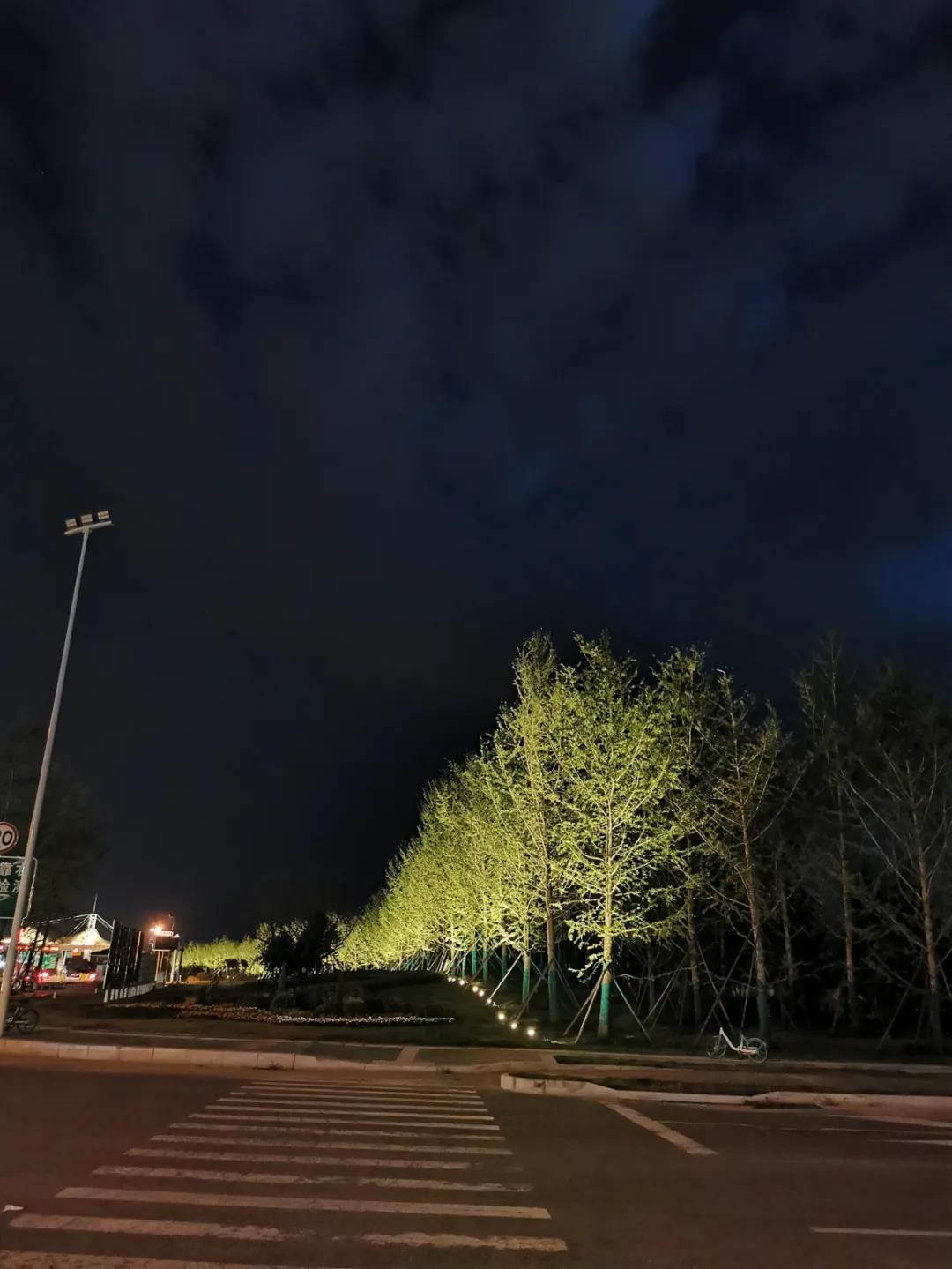 1631756087578477.jpg 1631756087578477.jpg