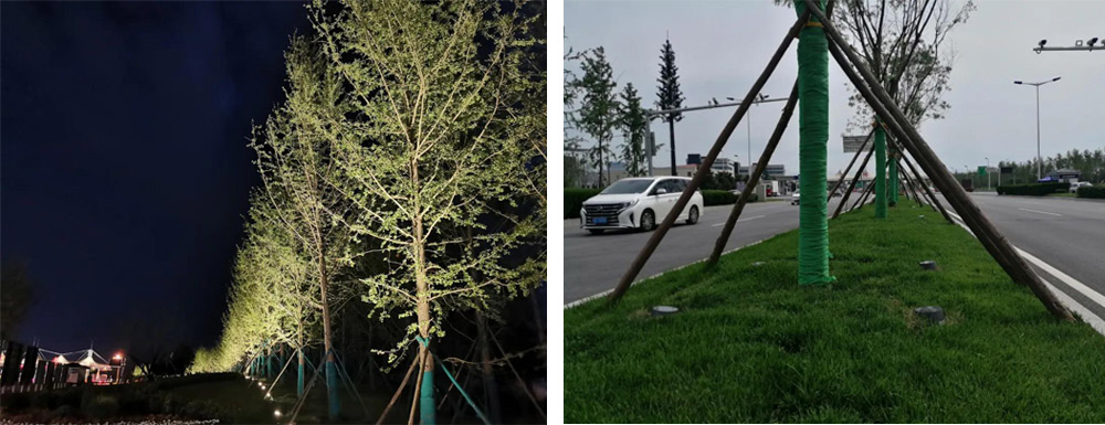 1631756132903355.jpg 1631756132903355.jpg