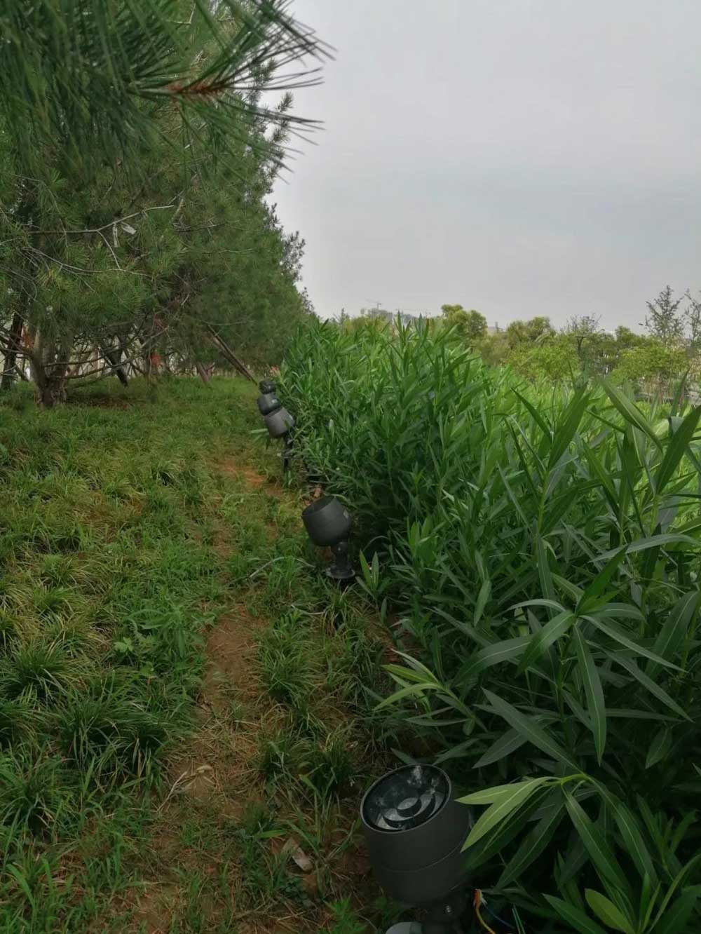 1631756265765766.jpg 1631756265765766.jpg