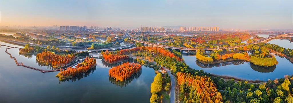 1652668775693811.jpg 1652668775693811.jpg