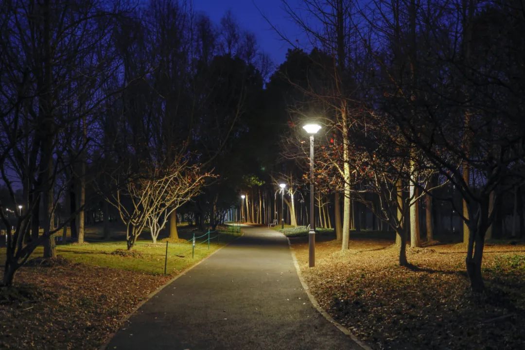 1652670246598734.jpg 1652670246598734.jpg