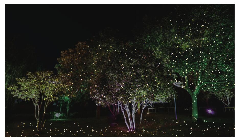 1657007057130650.jpg 10.jpg