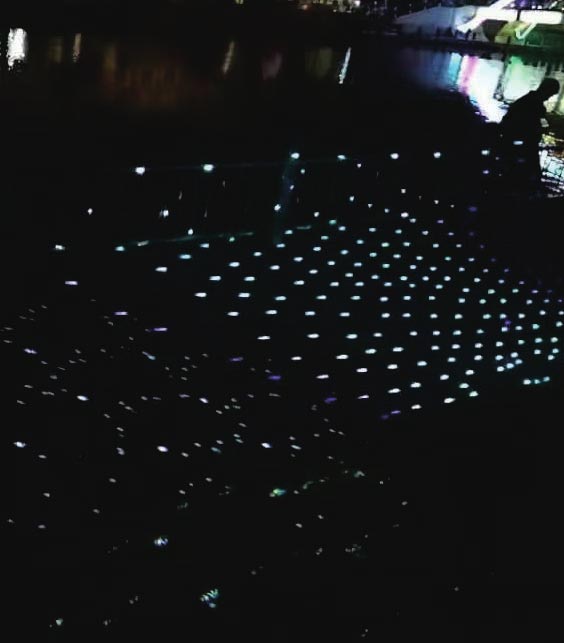 1657007427595783.jpg 1657007427595783.jpg