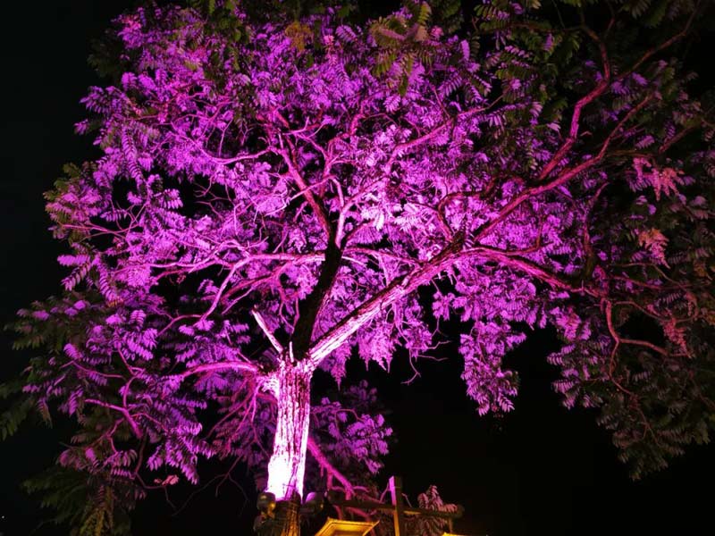 1665633460419465.jpg 6.jpg