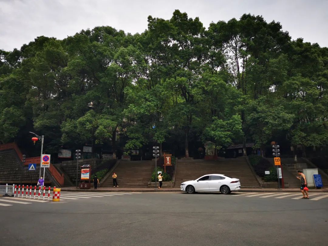 1665641890224687.jpg 1665641890224687.jpg