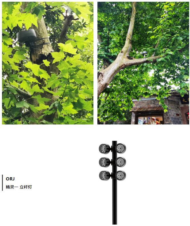 1665643517285689.jpg 1665643517285689.jpg