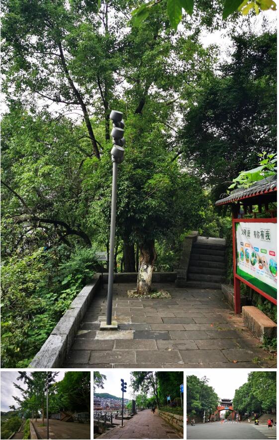 1665643795503010.jpg 1665643795503010.jpg