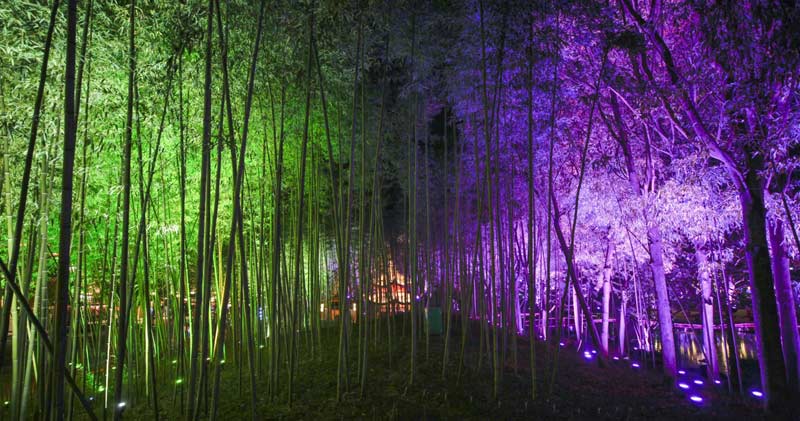 1676618485109581.jpg 10.jpg