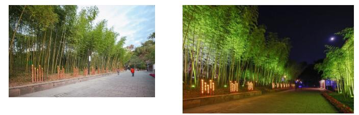 1676619530136536.jpg 9.jpg