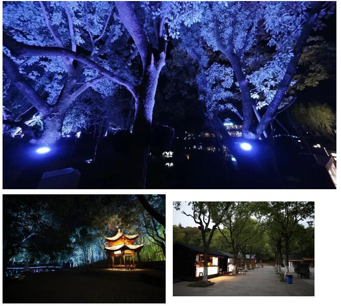 1676619628874440.jpg 16.jpg