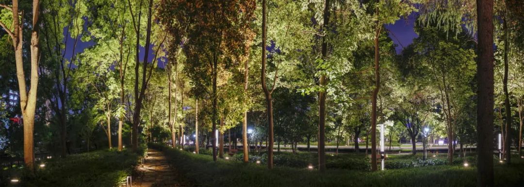 1695370830254577.jpg 1695370830254577.jpg