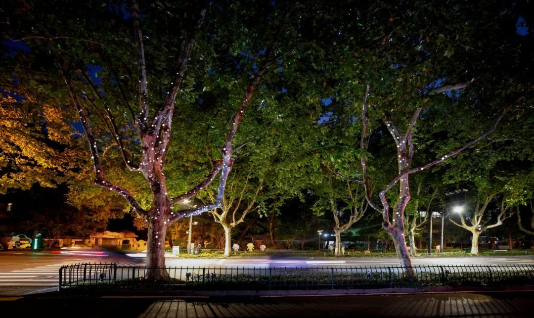 1695429971836430.jpg 1695429971836430.jpg