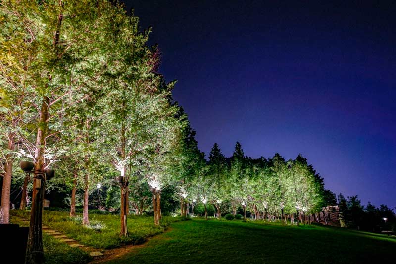 1695431271244217.jpg 37.jpg