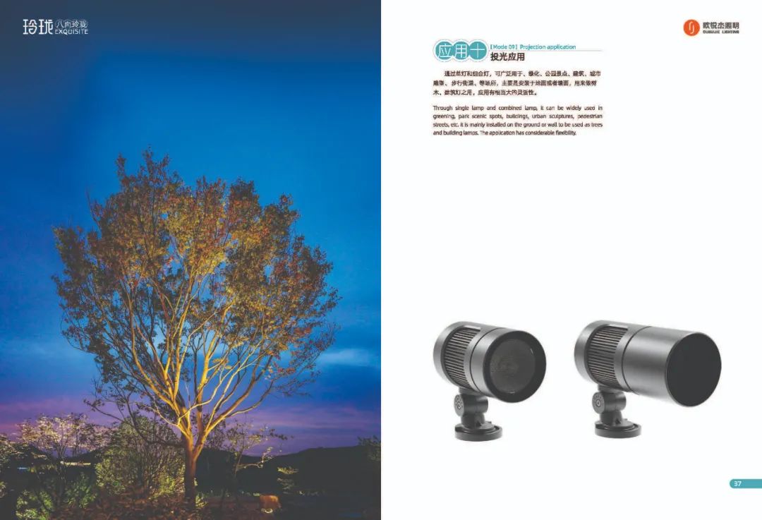 1703573744383247.jpg 1703573744383247.jpg