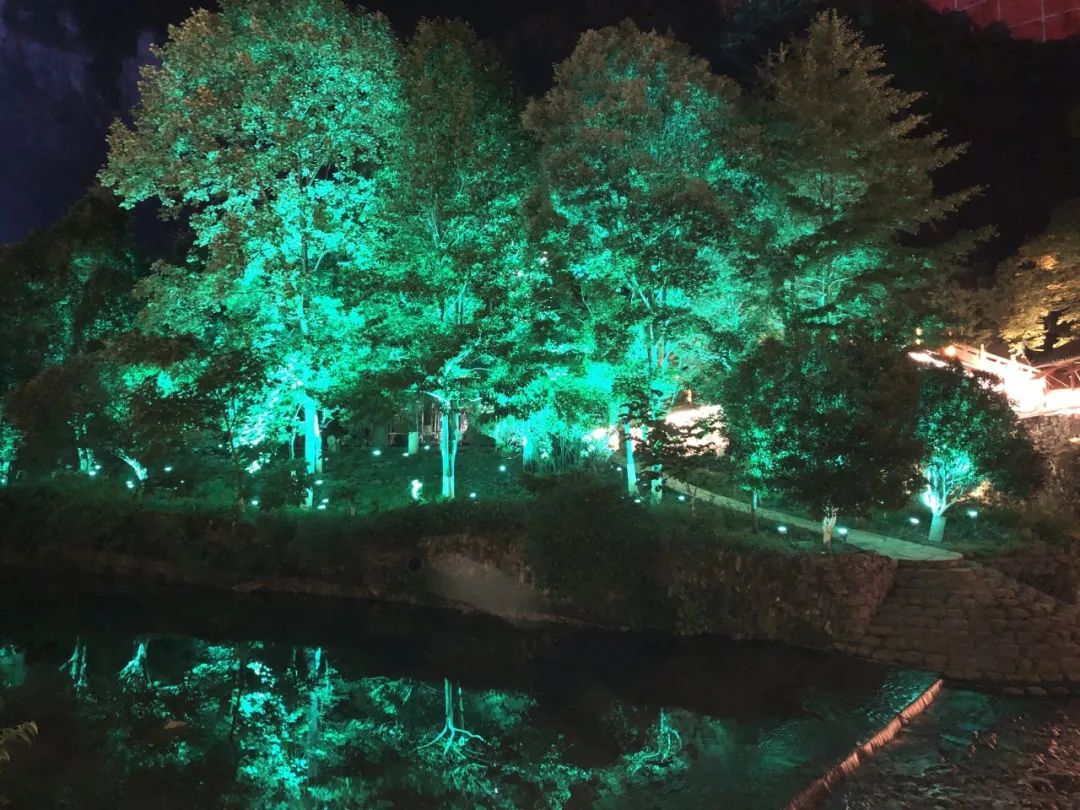 1707123328527726.jpg 1707123328527726.jpg