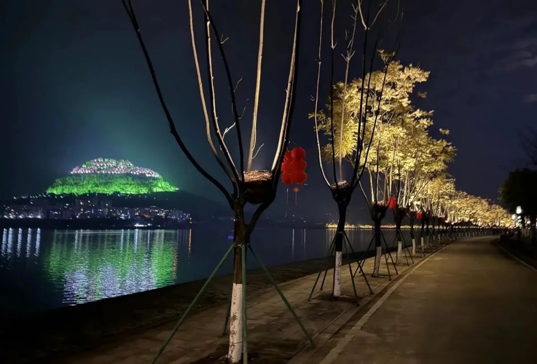 1707180565632539.jpg 1707180565632539.jpg