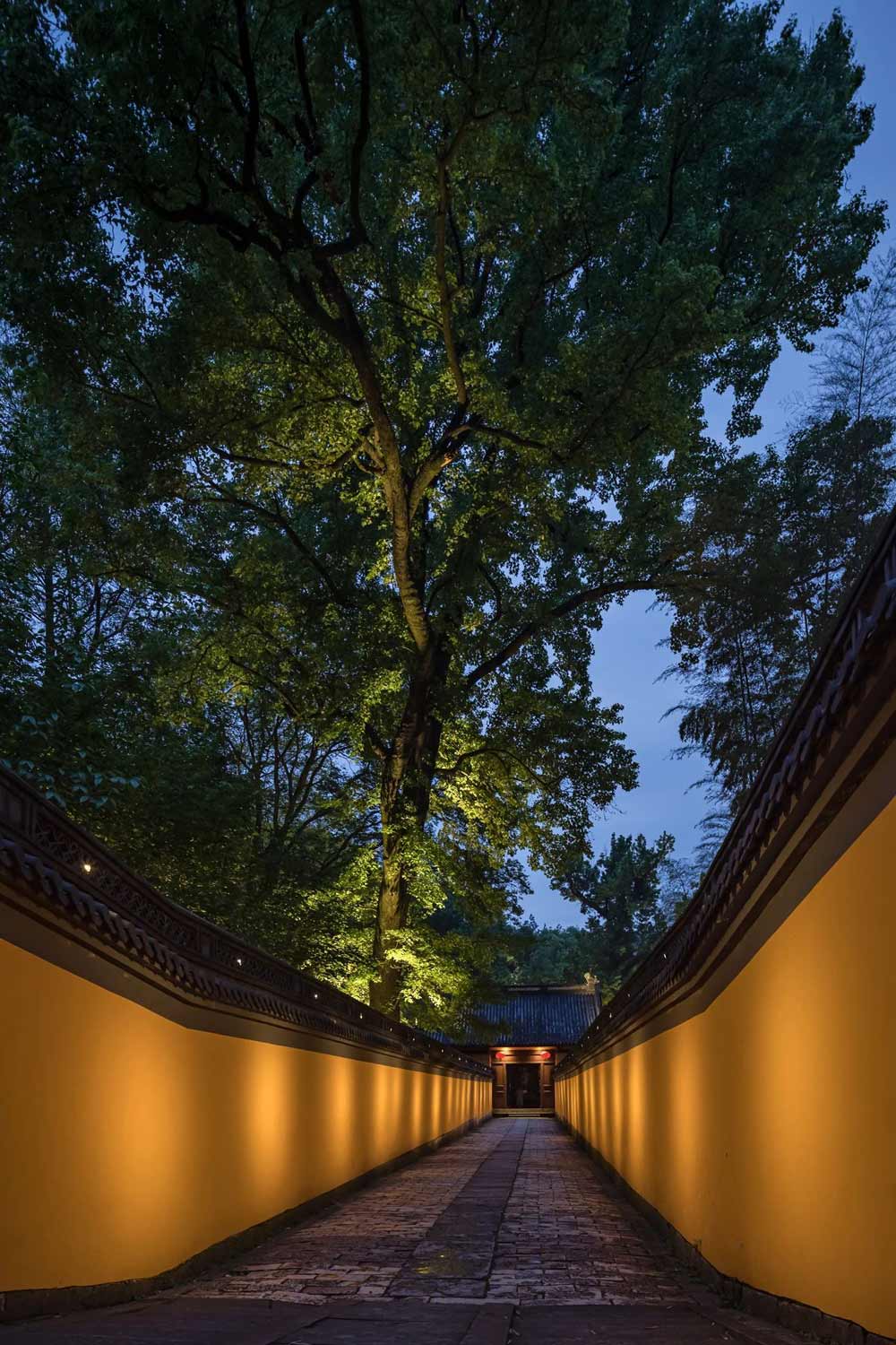 1718680145274751.jpg 19.jpg