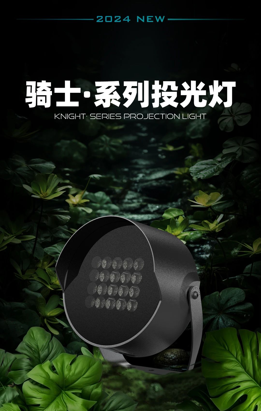 1724655582237844.jpg 1724655582237844.jpg